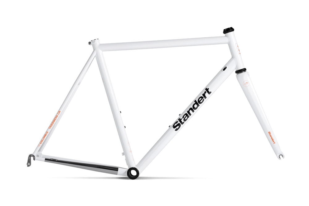 Triebwerk CR Salt | Steel Made Endurance Road Bike Frame