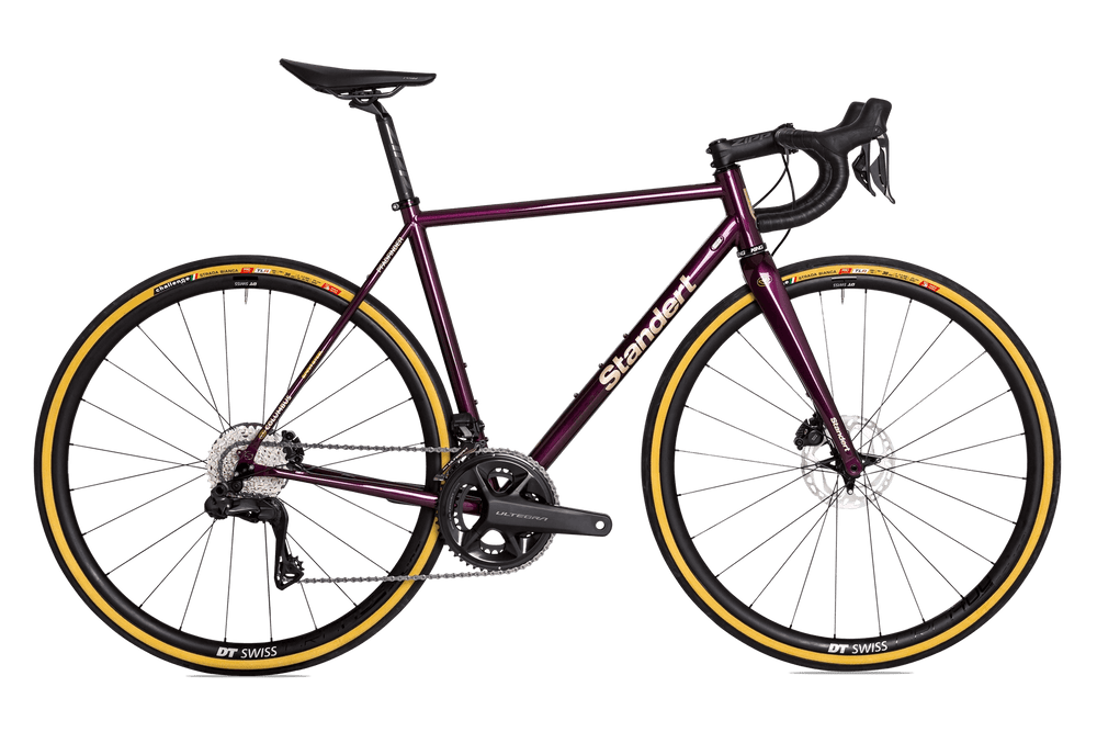 Pfadinder Parmigiana Steel Made Endurance Bike