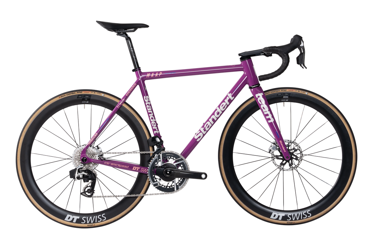 Standert Bikes Demo Kreissäge RS Team 2024 SRAM Red 54