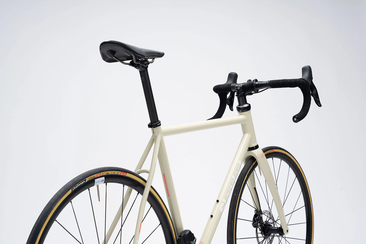 Demo | Triebwerk White Lotus | SRAM Rival AXS | 56