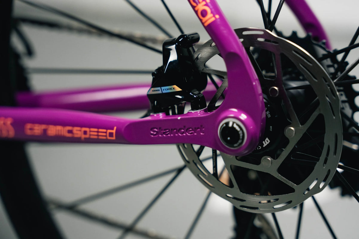 Demo | Kreissäge RS | Team | Force AXS D2 | 52