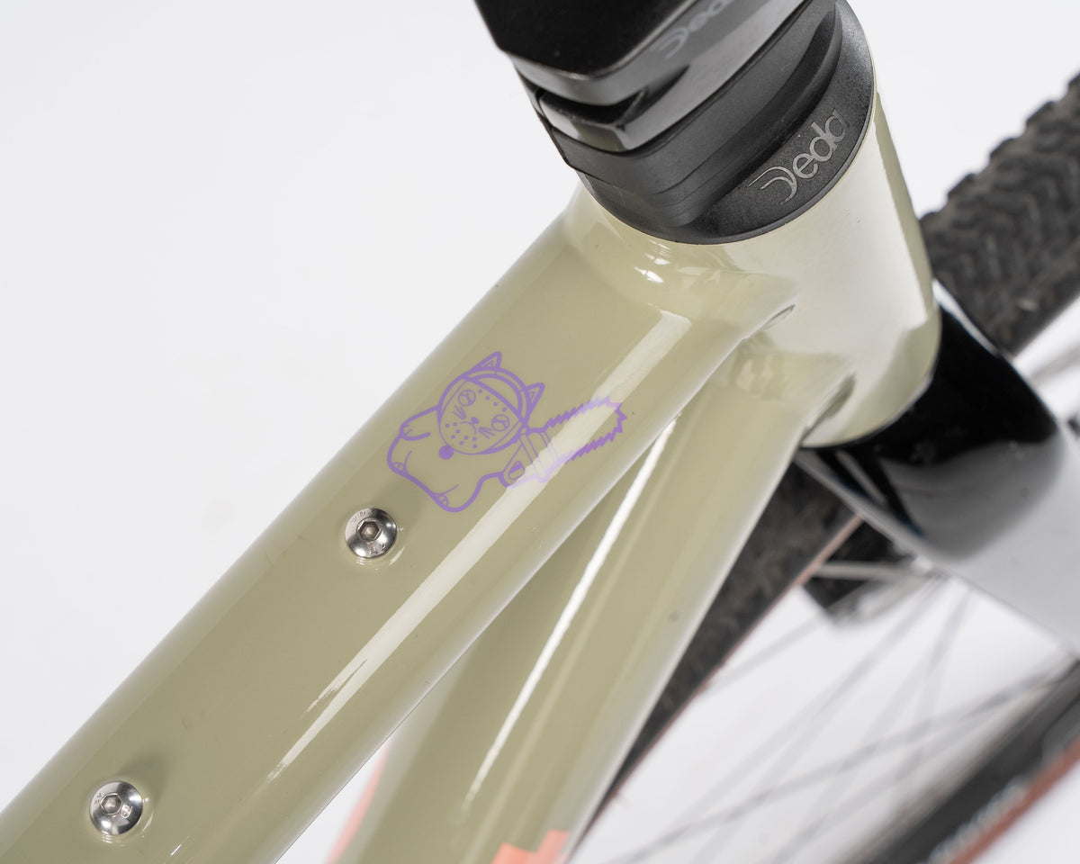 Demo Kieswerk | Shimano GRX 600 | DT Swiss GR1600 | Green Thumb 54