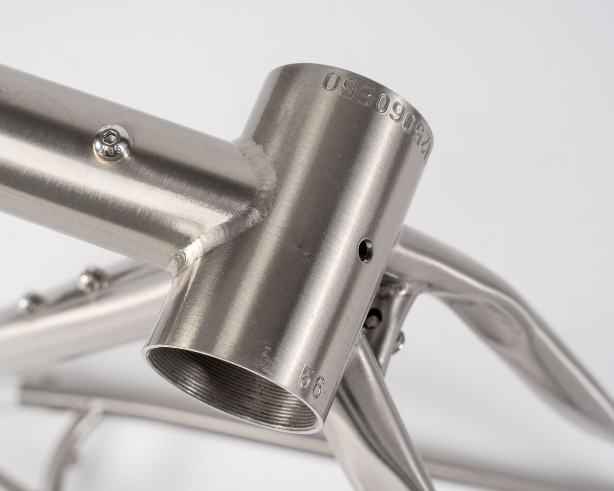 Demo | Erdgeschoss | Frameset | White Rabbit 56