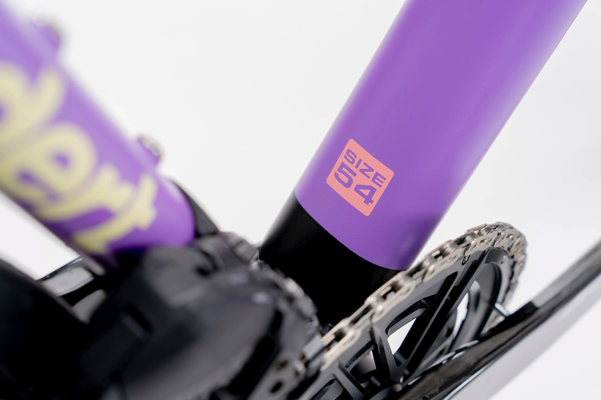 Kreissäge | Dope Grape | SRAM Force AXS w/ Powermeter | DT Swiss ARC 1600