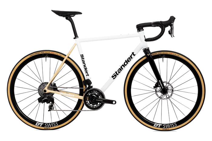 Pfadfinder LTD V Steel Made Endurance Road Bike