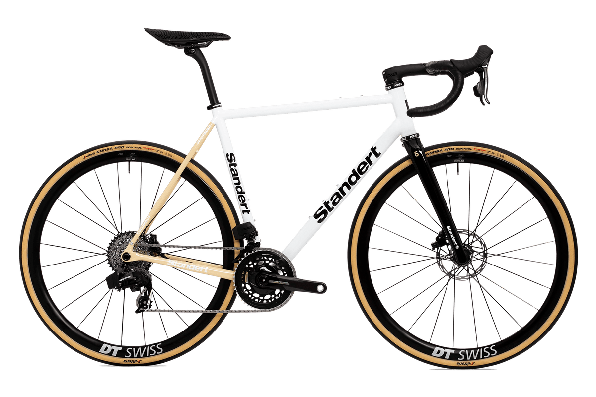 Pfadfinder LTD V Steel Made Endurance Road Bike