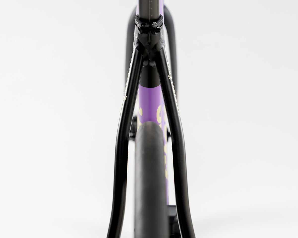 Kreissäge | Dope Grape | Shimano Ultegra Di2 | DT Swiss A1800
