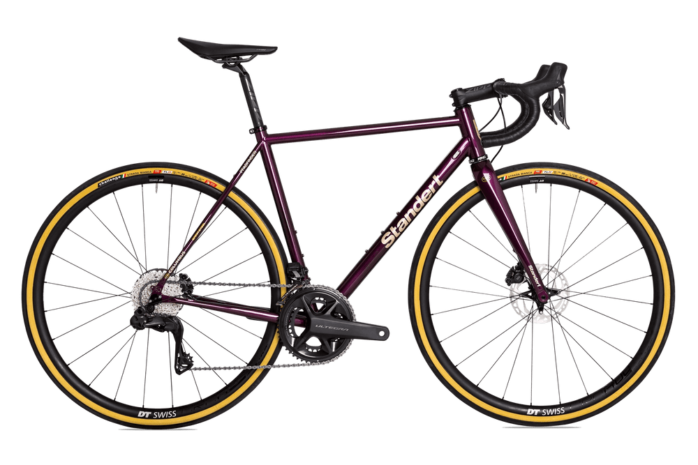 Steel endurance online road bike