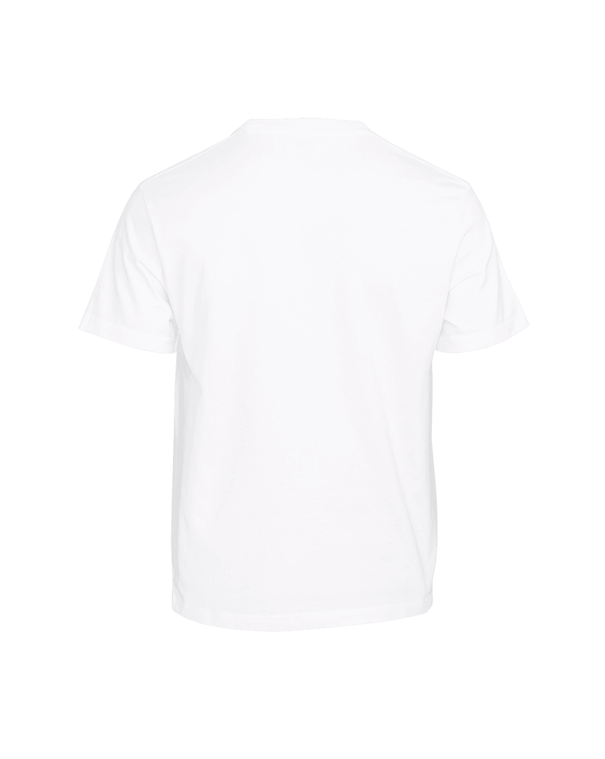 T-Shirt Standert Premium Legacy Logo White