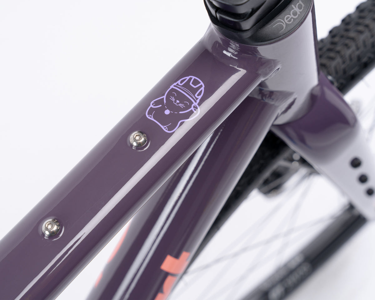 Demo | Kieswerk | SRAM Apex AXS XPLR | DT Swiss G 1800 | Plump Plum 58