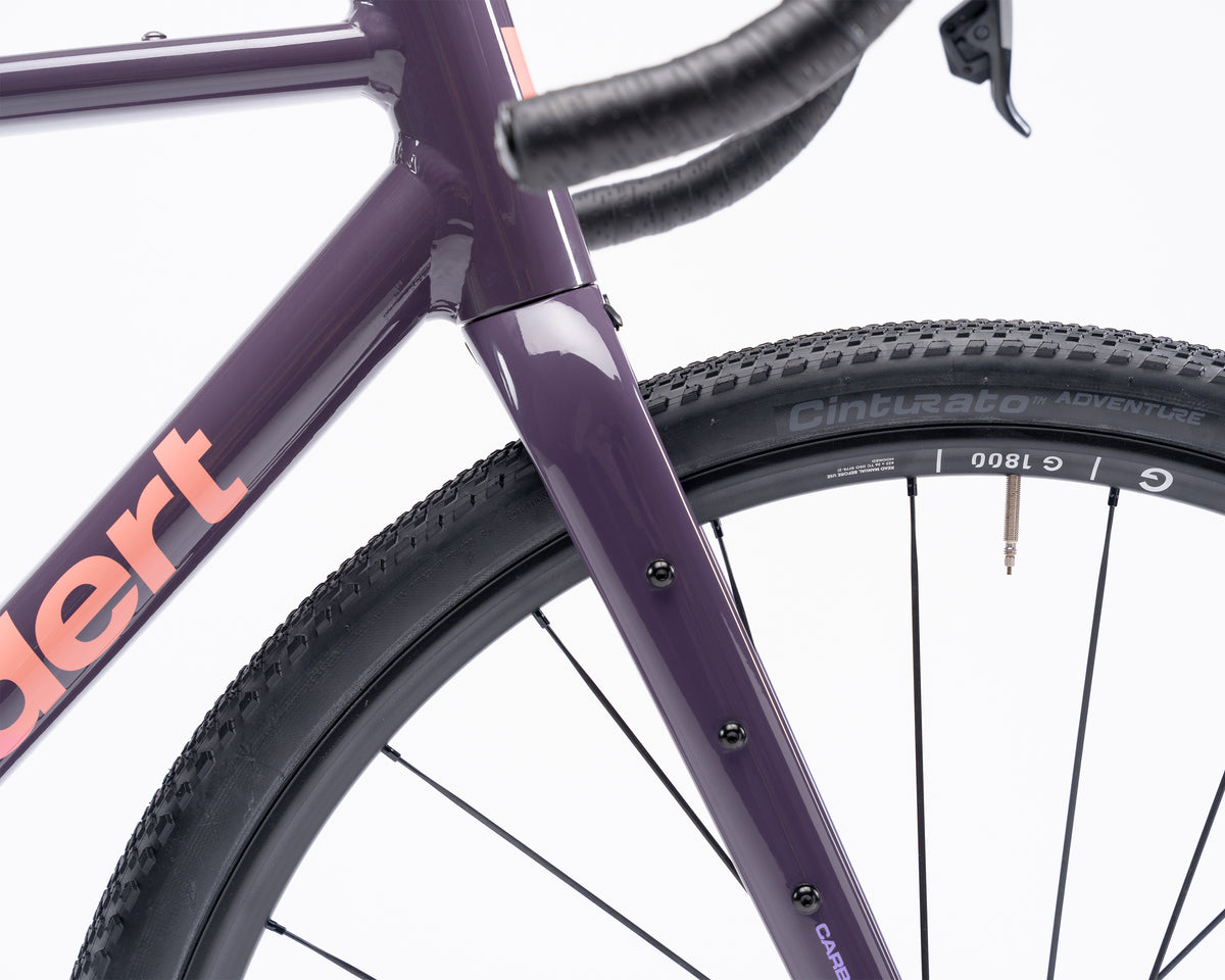 Demo | Kieswerk | SRAM Apex AXS XPLR | DT Swiss G 1800 | Plump Plum 58