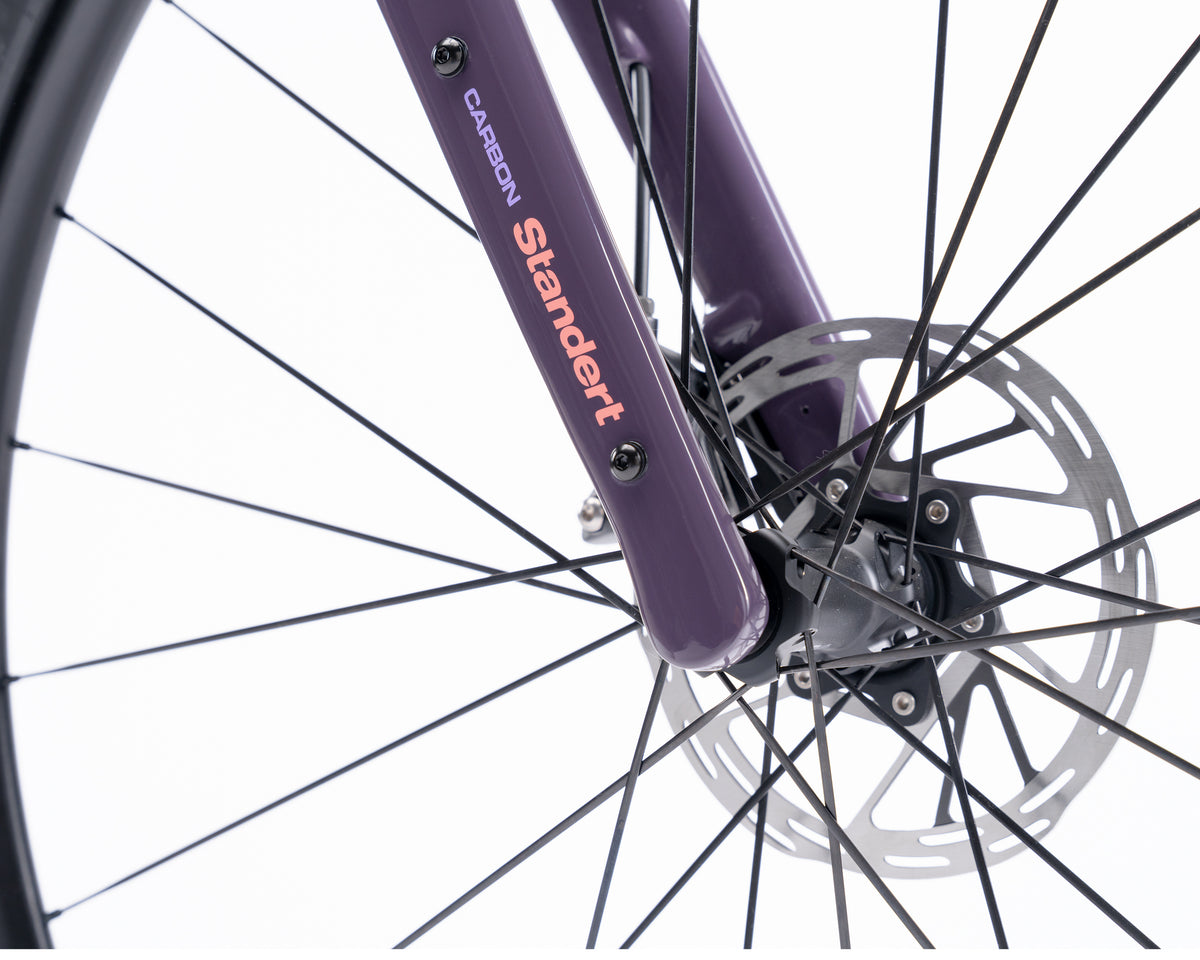 Demo | Kieswerk | SRAM Apex AXS XPLR | DT Swiss G 1800 | Plump Plum 58