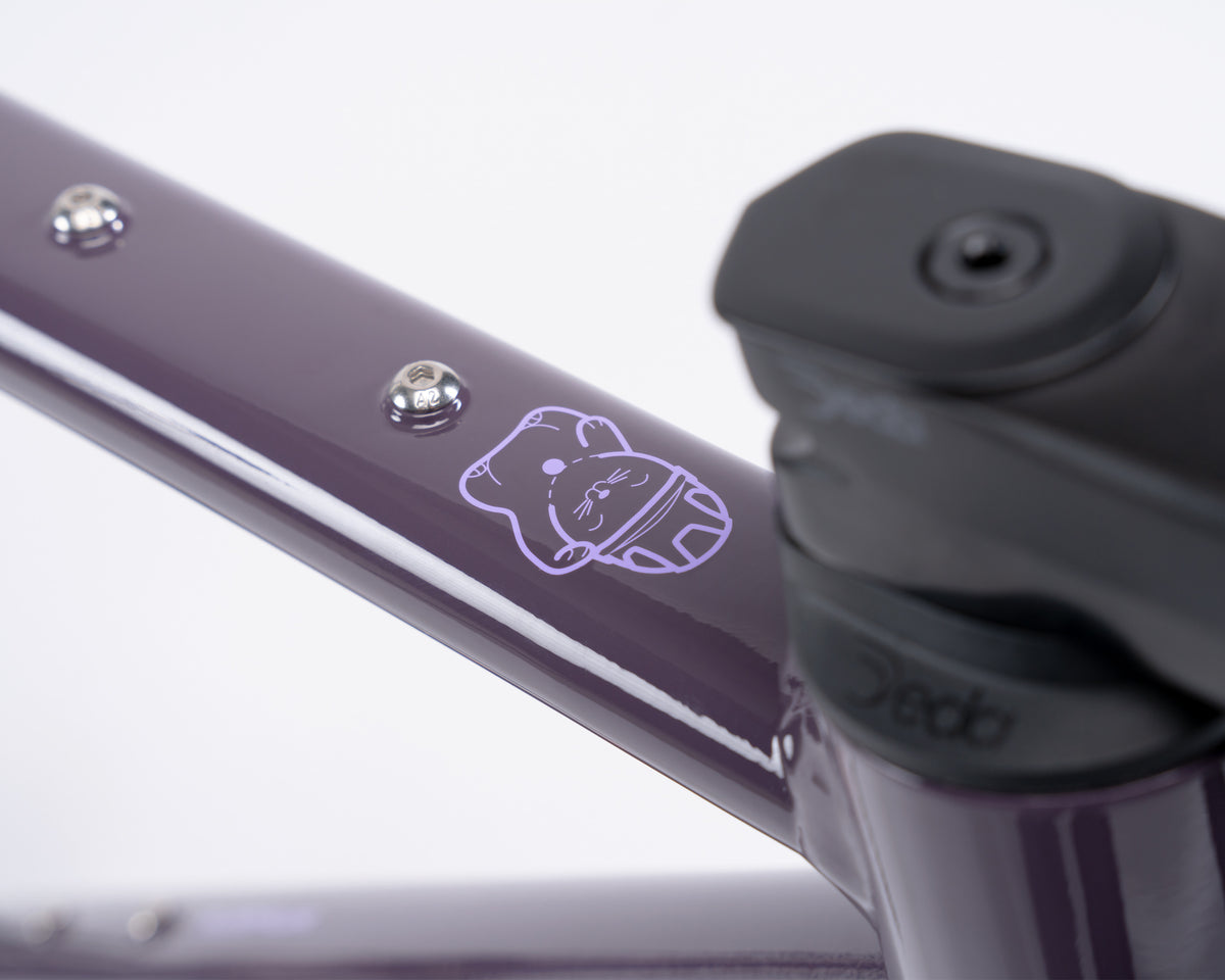 Demo | Kieswerk | SRAM Apex AXS XPLR | DT Swiss G 1800 | Plump Plum 58