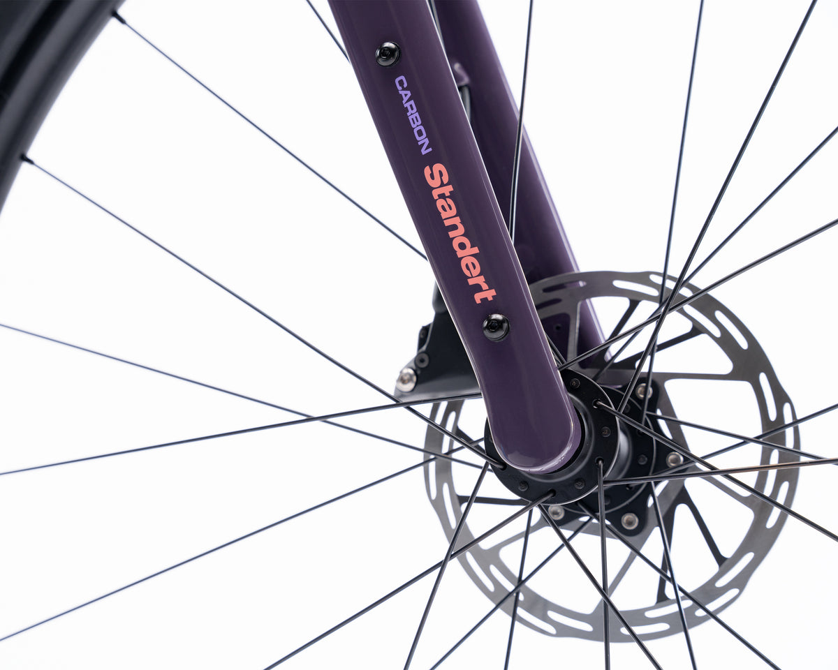 Kieswerk | SRAM Apex Eagle | DT Swiss GR LN | Plump Plum