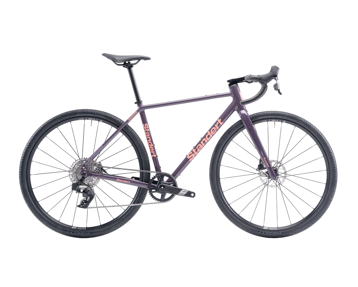 Kieswerk | SRAM Apex AXS XPLR | DT Swiss G 1800 | Plump Plum