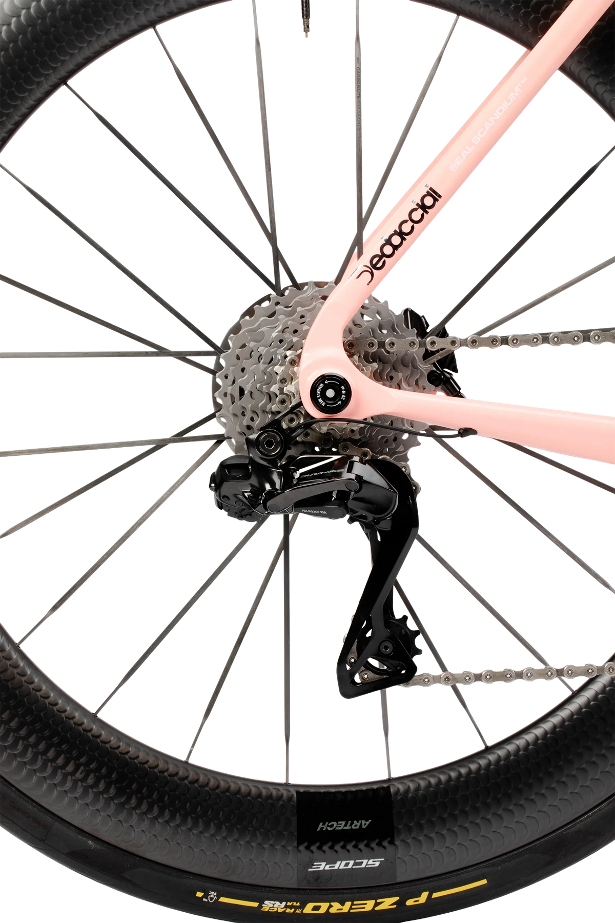 Kreissäge RS | Team Edition | Frameset MY26
