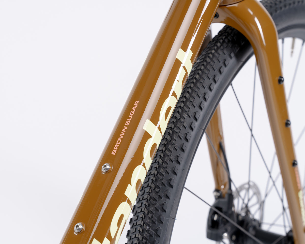 Kieswerk | SRAM Apex AXS XPLR | DT Swiss G 1800 | Brown Sugar