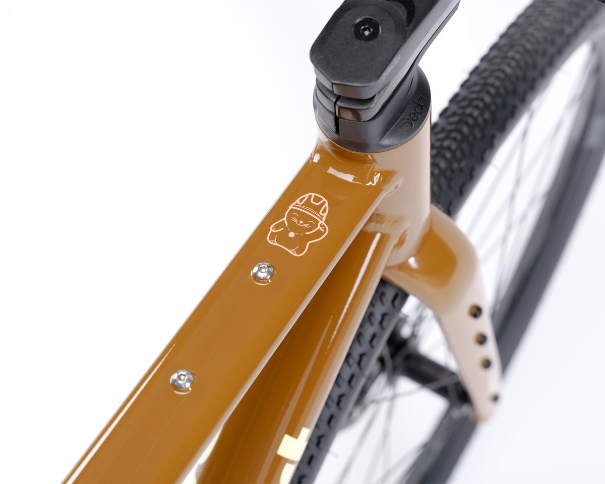 Kieswerk | SRAM Apex AXS XPLR | DT Swiss G 1800 | Brown Sugar