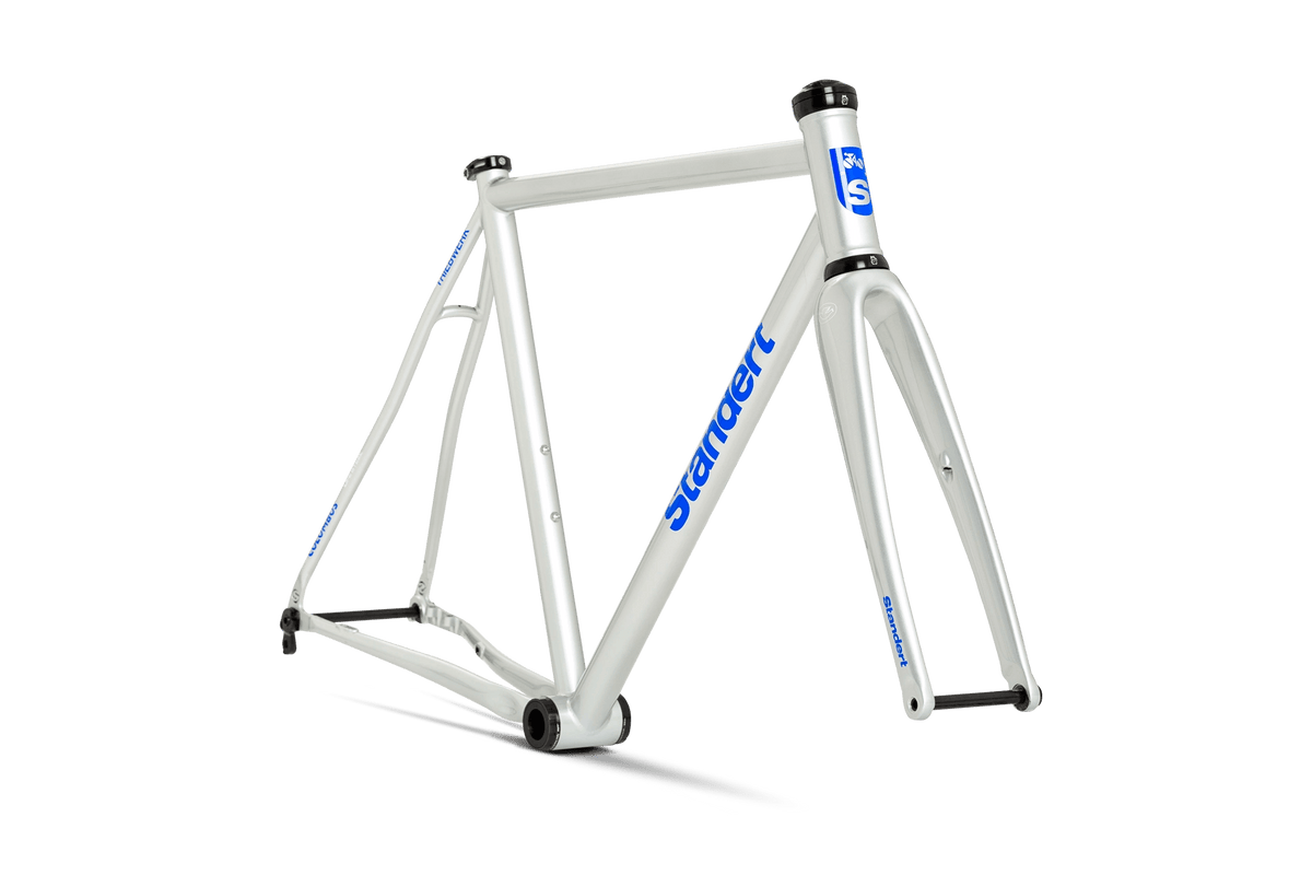 Standert Triebwerk Silver Lily Steel Road Bike Frame