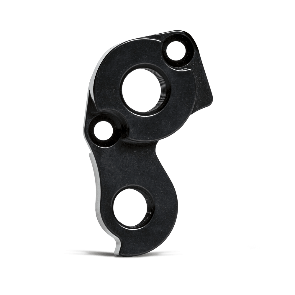 Derailleur Hanger | Erdgeschoss Stainless (until 2021), Triebwerk Disc, Pfadfinder - Standert Bicycles