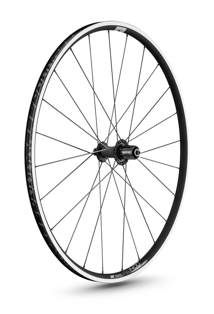 DT Swiss P 1800 Kreissäge Rim - Standert Bicycles